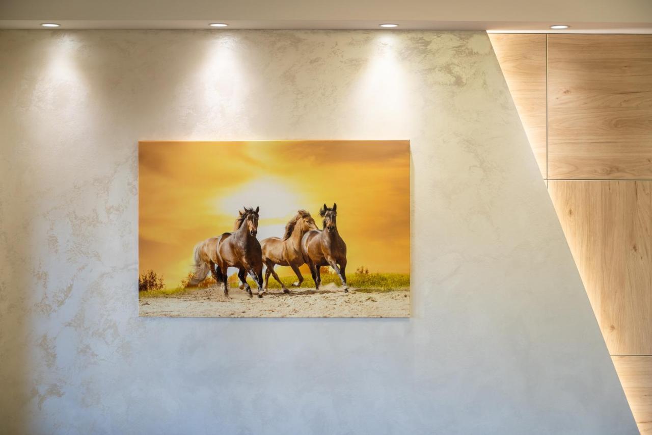 Apartment Papillon 3 Ζλάτιμπορ Εξωτερικό φωτογραφία